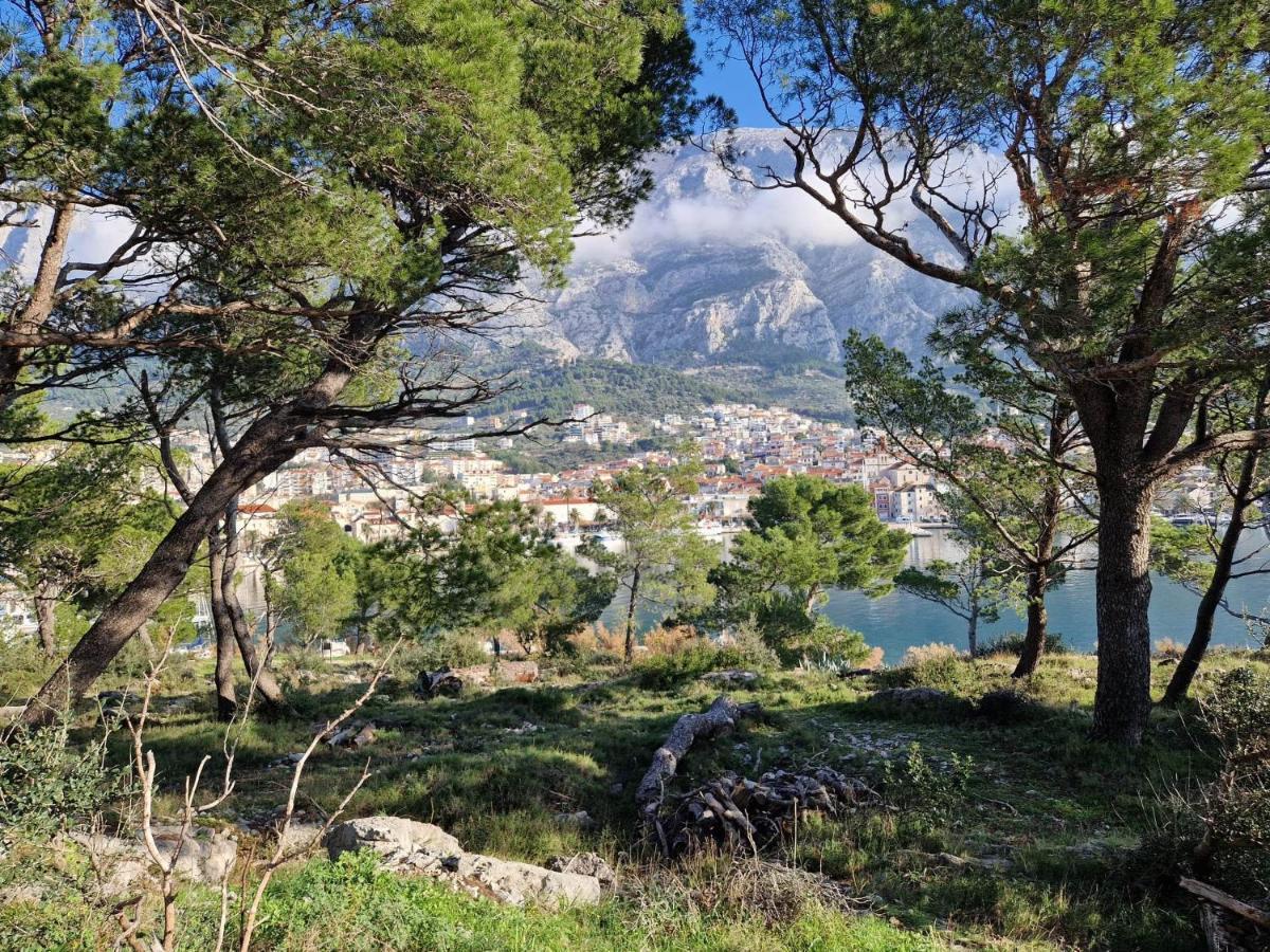 Apartment Villa Mirna Makarska Exteriör bild