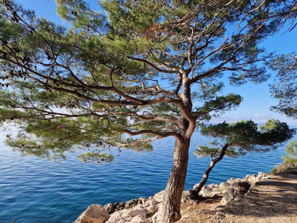 Apartment Villa Mirna Makarska Exteriör bild