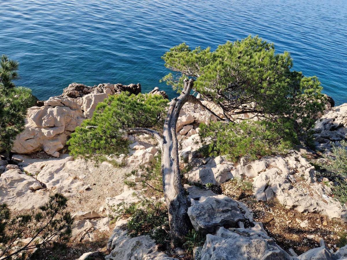 Apartment Villa Mirna Makarska Exteriör bild