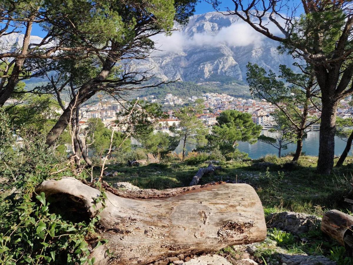 Apartment Villa Mirna Makarska Exteriör bild